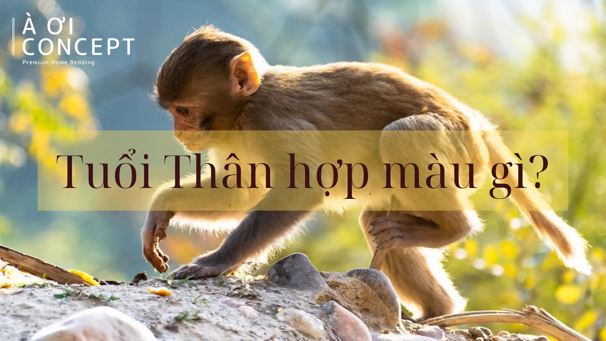 Mệnh thủy theo từng năm sinh và các nạp âm khác nhau trong phong thủy